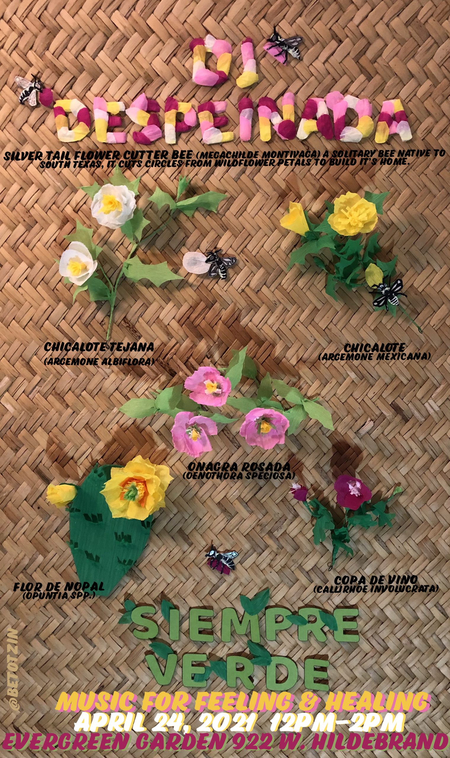 Flyer for the DJ Despeinada event Siempre Verde, featuring paper cutout wildflowers native to South Texas labeled with common and scientific names, alongside paper cutout bees, with event details for April 24, 2021 at Evergreen Garden.